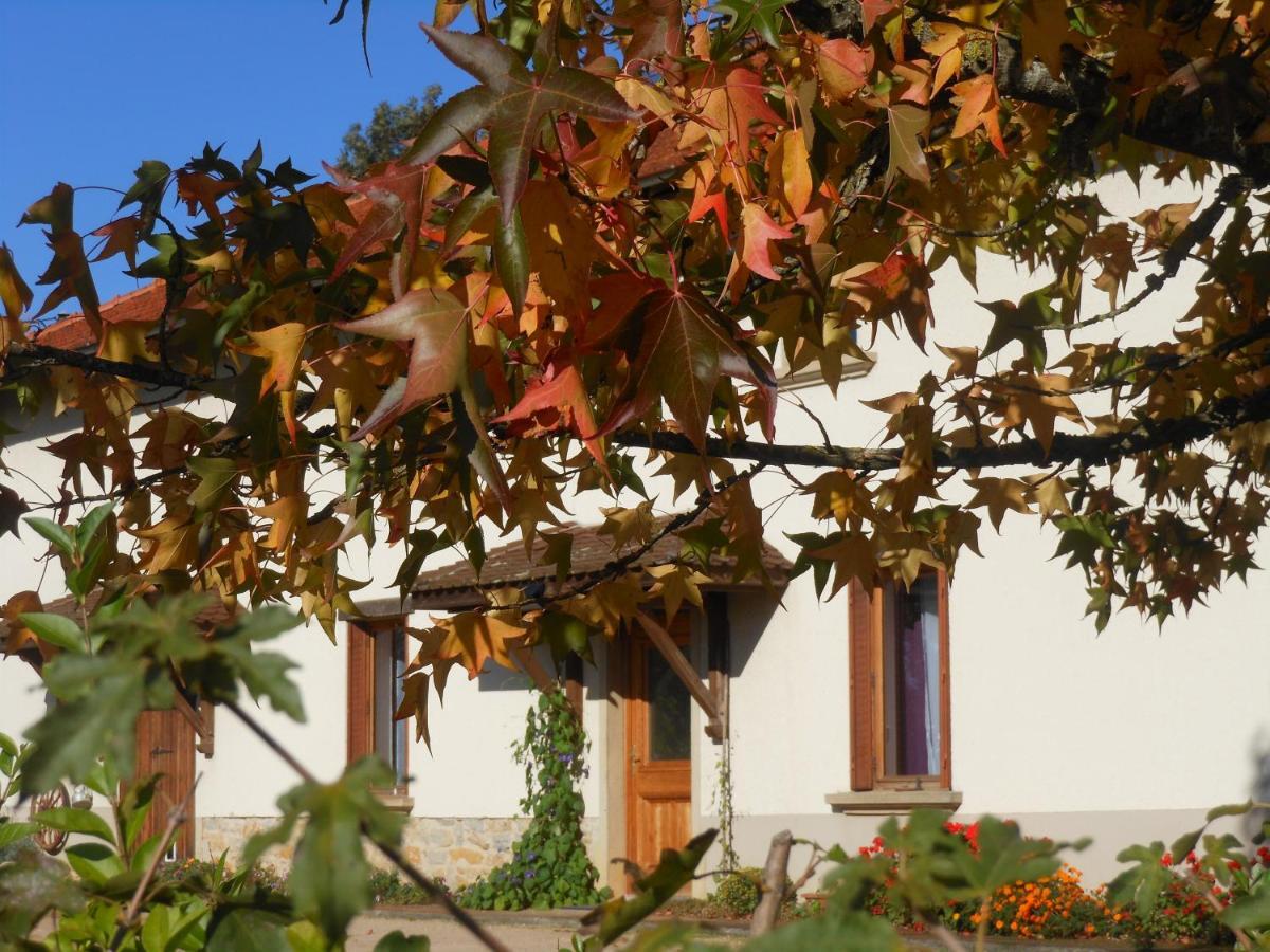 Verveine Patchouli Saint-Martin-le-Chatel Exterior foto